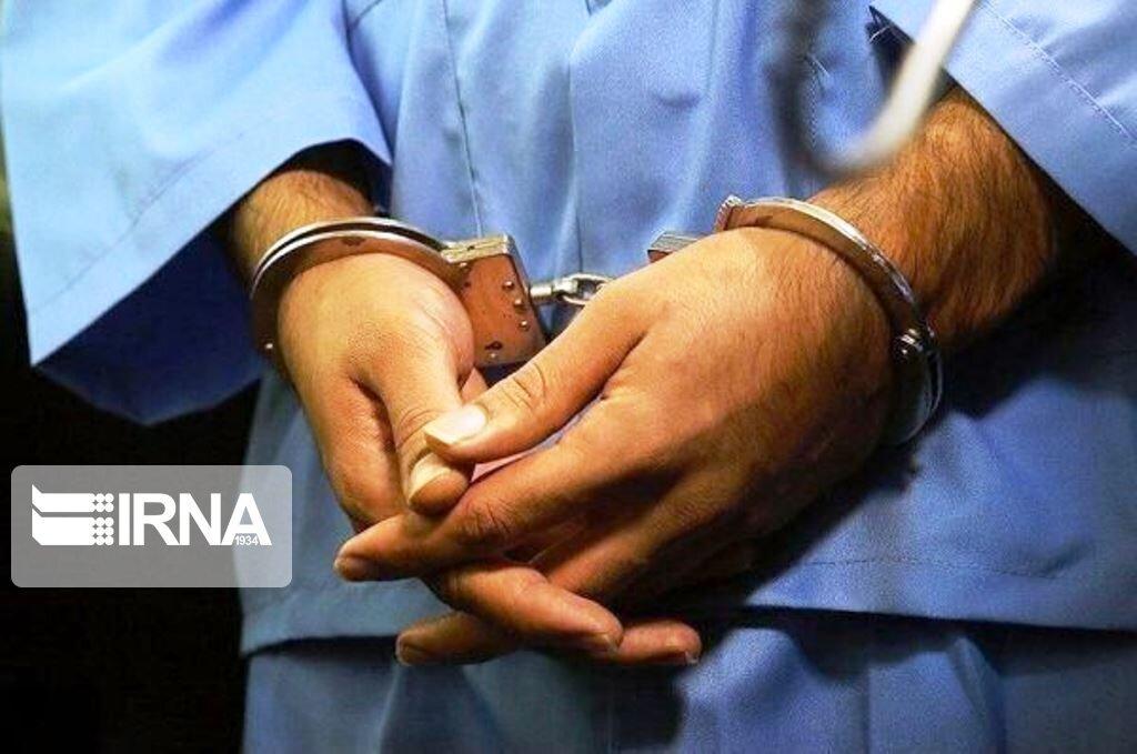 خبرنگاران 10 سارق در شهرستان دشتستان دستگیر شد خبرنگاران 10 دزد در شهرستان دشتستان دستگیر شد