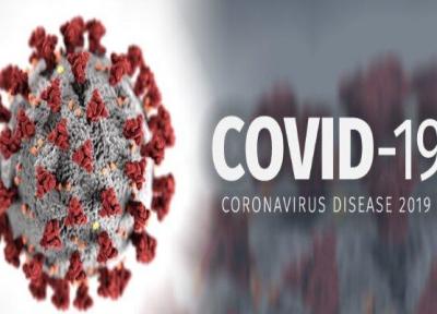 نسخه جهش یافته ویروس کرونا کمتر مرگبار است
