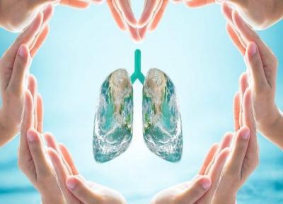 9 روش ساده و مؤثر برای پاکسازی ریه