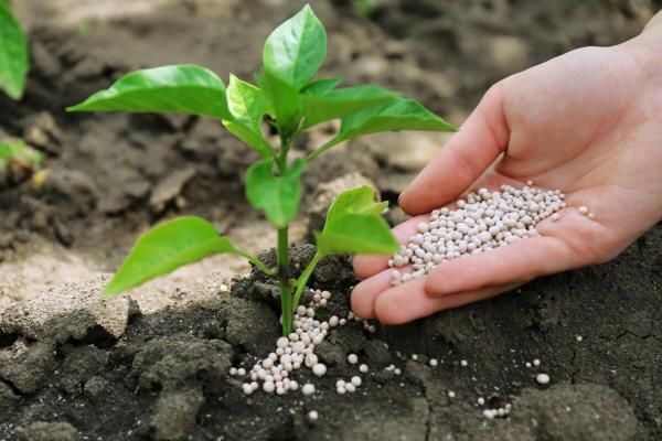 خبرنگاران مرجوع شدن بیش از 2 هزار تن کود غیراستاندارد داخلی و وارداتی