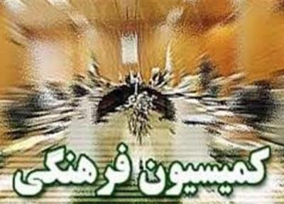 وزیر ارشاد دوشنبه به کمیسیون فرهنگی می رود