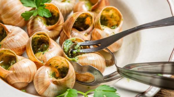 ژن شما می گوید چه غذایی بخورید ژن شما می گوید چه غذایی بخورید