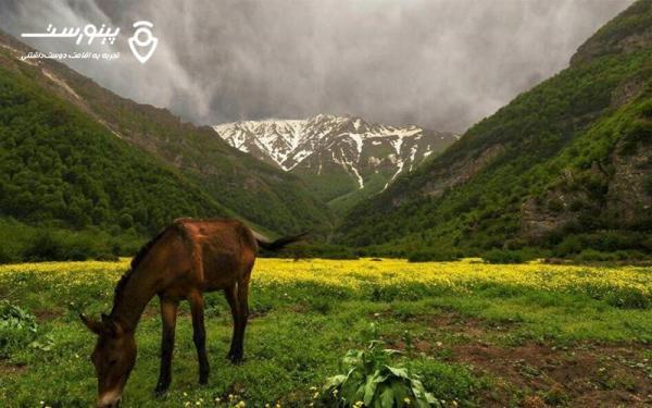 قبل اجاره ویلا در کردان به چه چیزهایی دقت کنیم؟ قبل اجاره ویلا در کردان به چه چیزهایی دقت کنیم؟